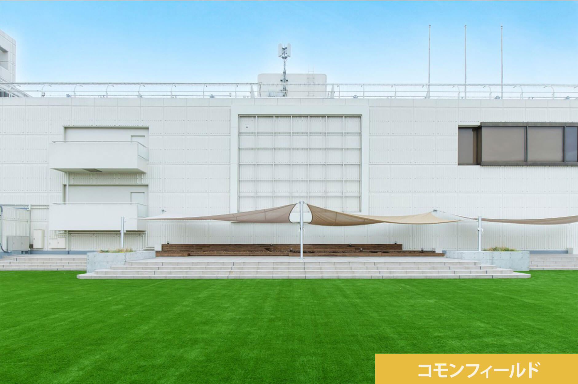 コモンフィールド