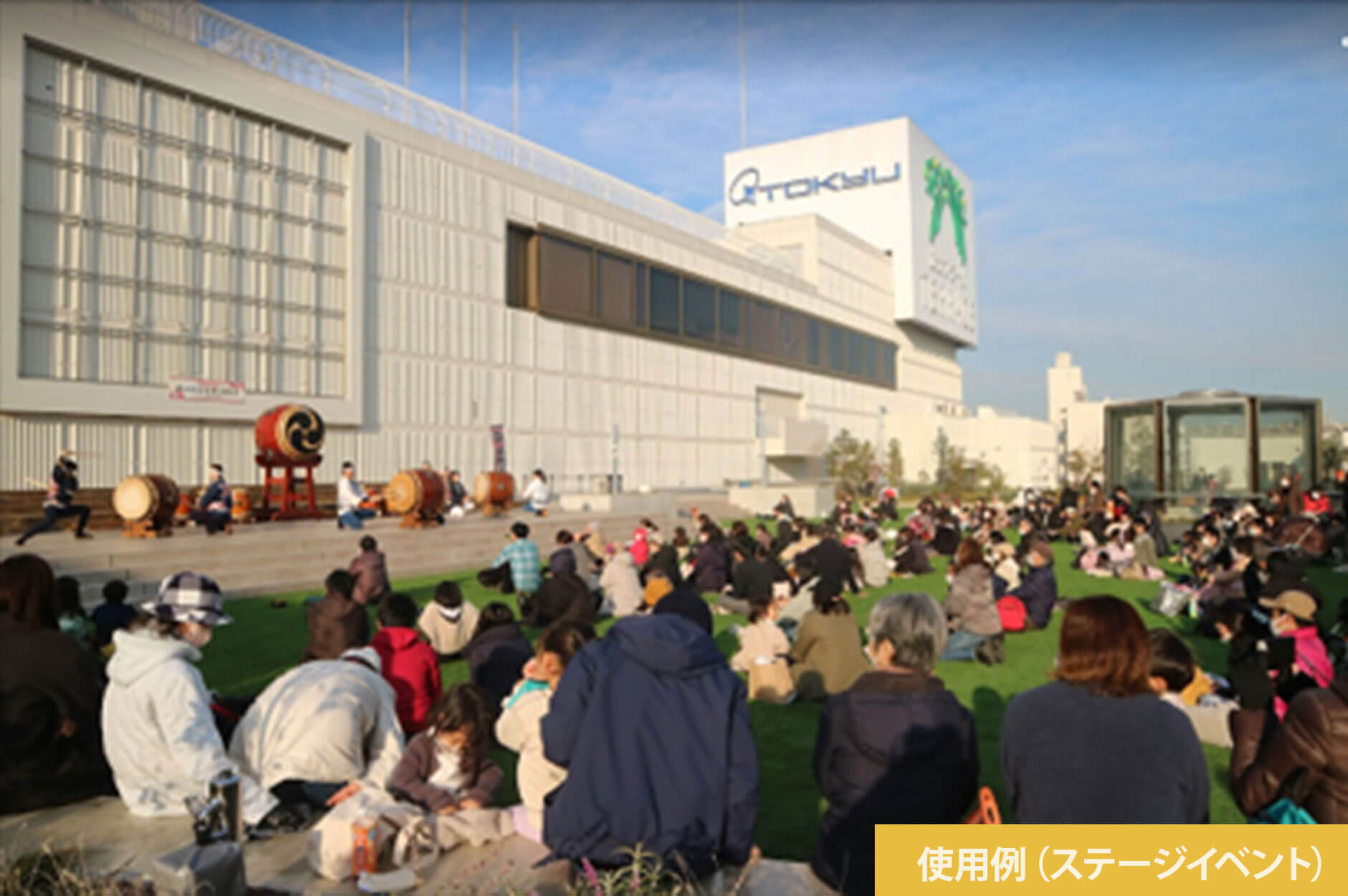 コモンフィールド