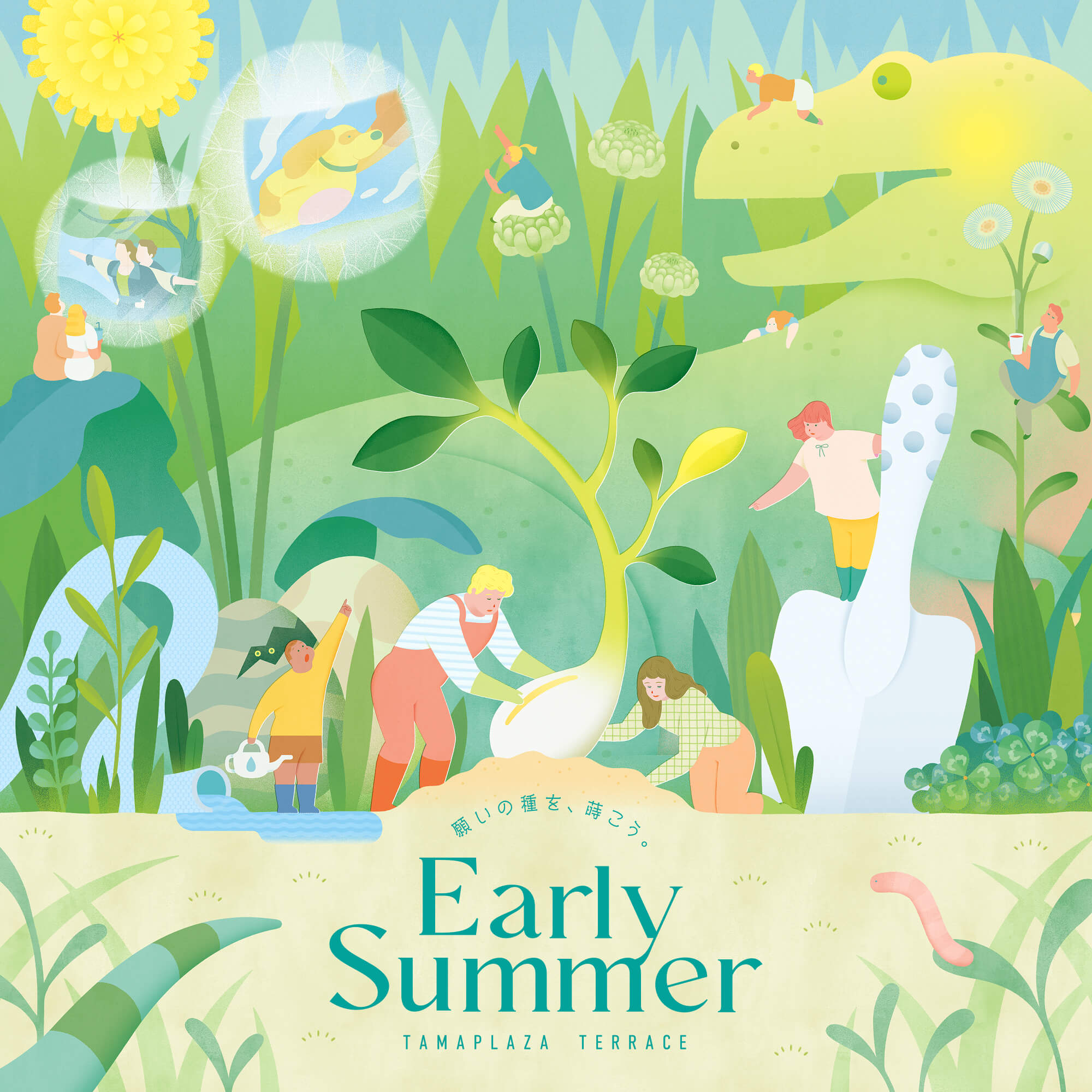 TERRACE the Early Summer