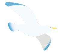 鳥1