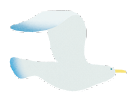 鳥2