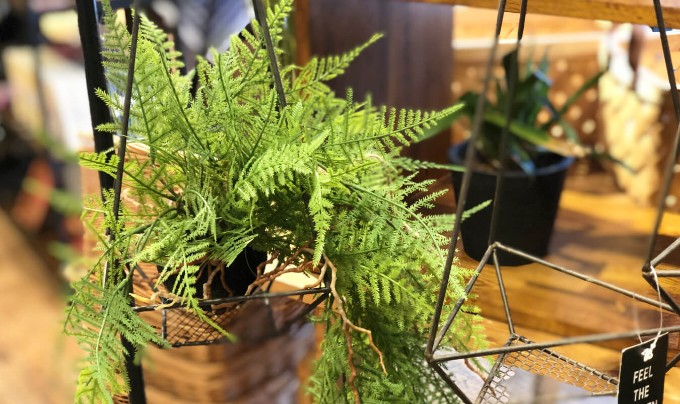 画像:守屋さんだからこそ知っているウンナナクールの魅力やこだわりを教えてください。