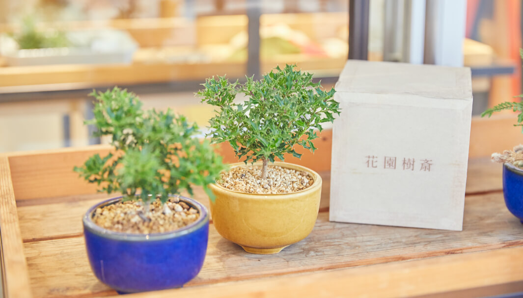 画像：畠山さんのオススメの商品