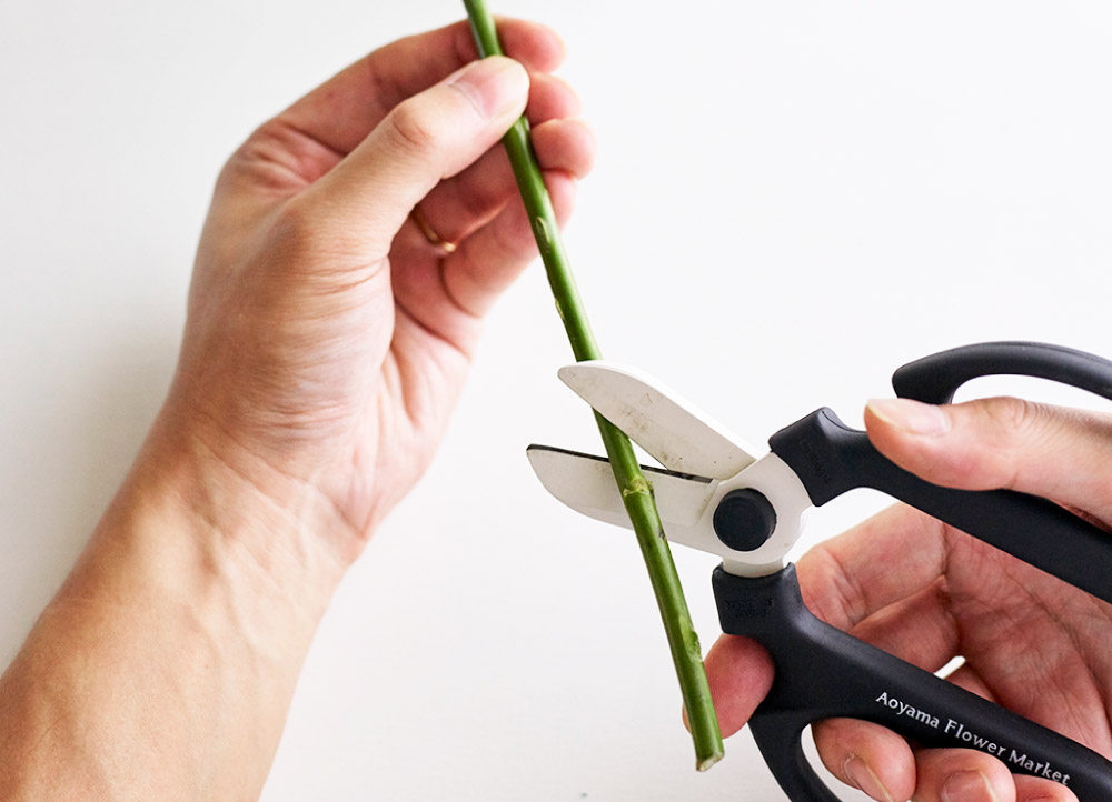 画像：お花をより長く、美しく、楽しむために 02