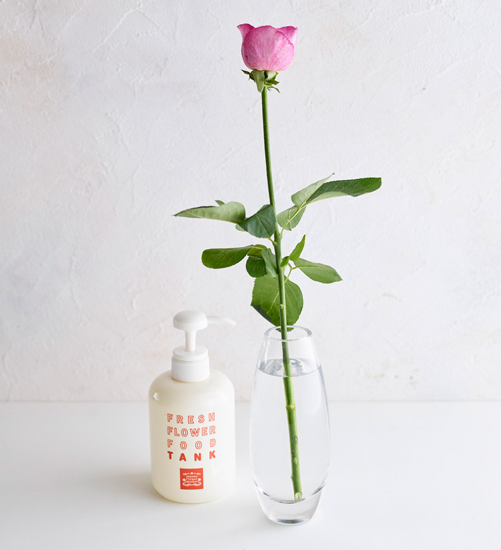 画像：お花をより長く、美しく、楽しむために 03