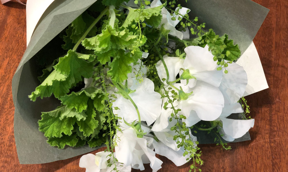 画像：お洋服のお好み