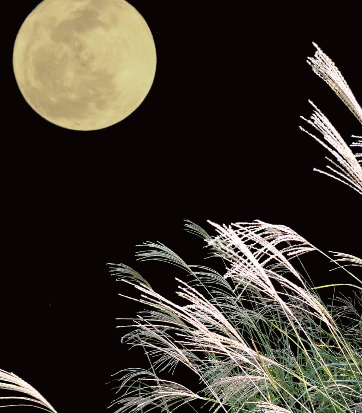 画像：十五夜とは