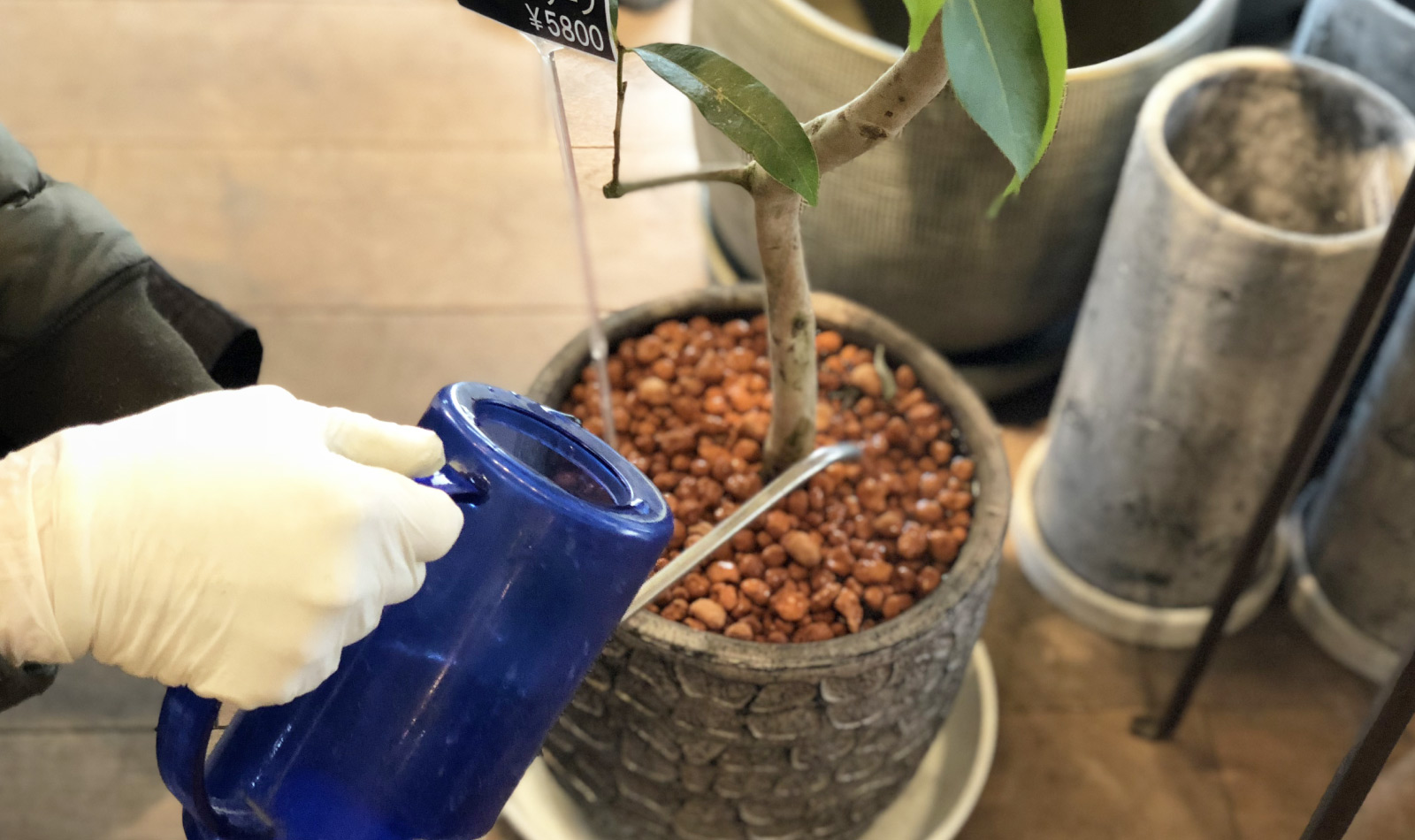 画像：水やりのサイクルを作る