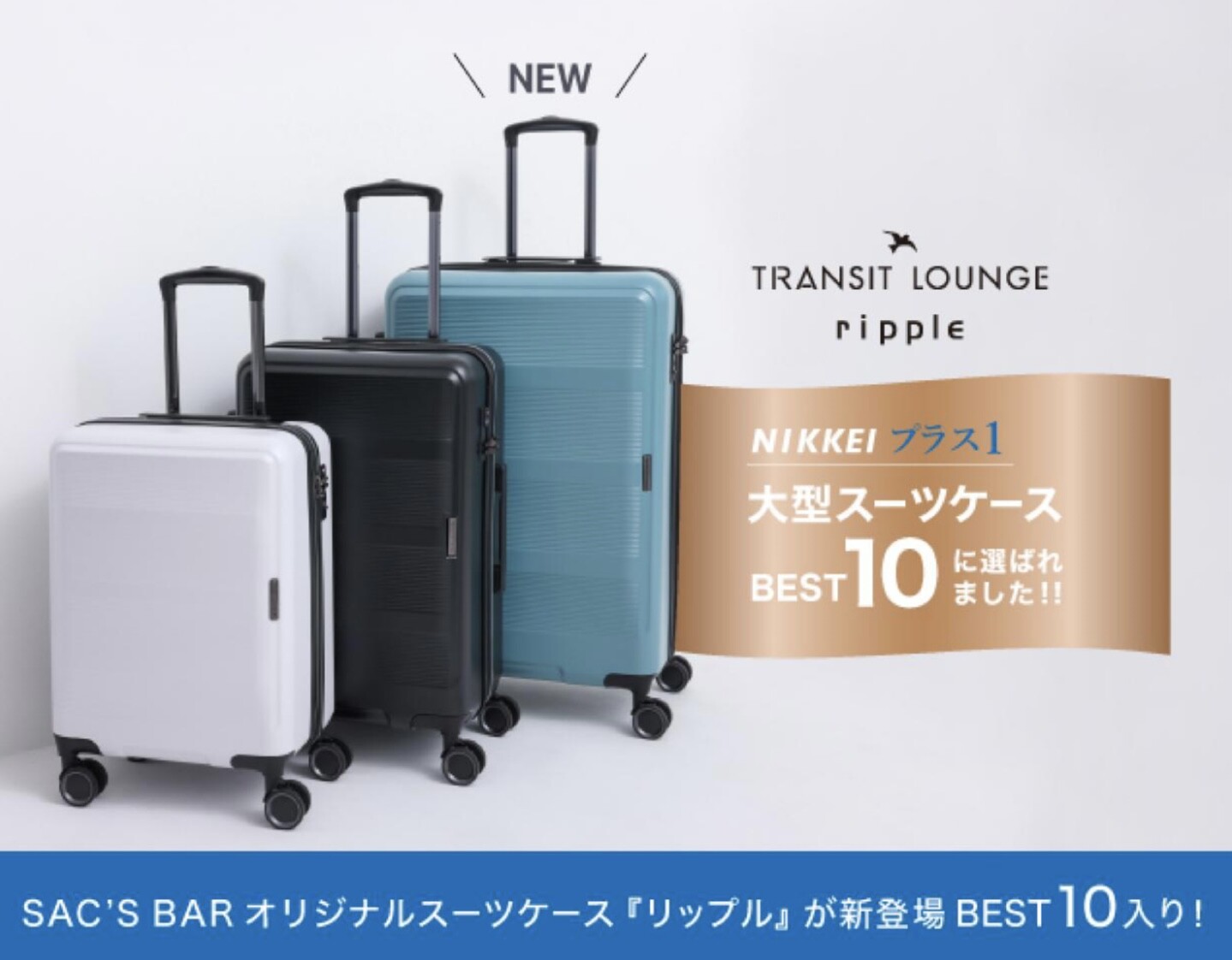 TRANSIT LOUNGE ripple リップル キャリーケース 34L ✨大人気キャリーケースに大型サイズ登場✨