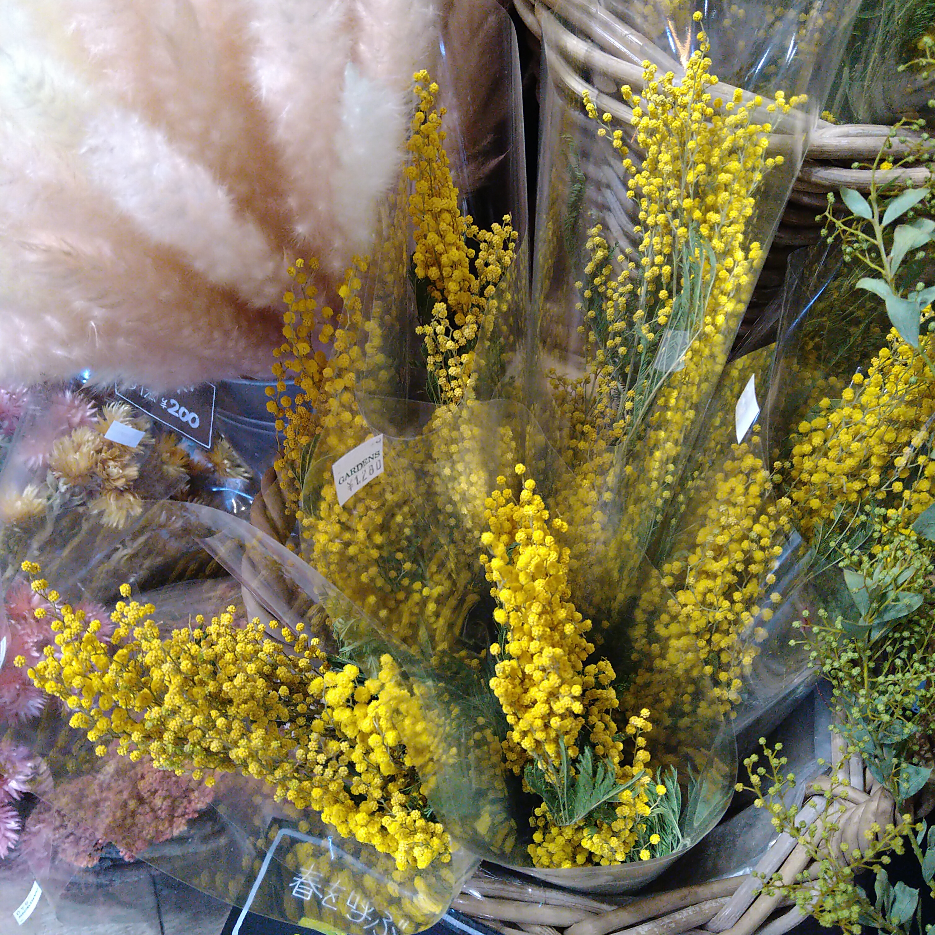 さよならSALE【入手困難】ユニシティ ハーバリスト ユニマテ グリーン さよならSALE【入手困難】ユニシティ ハーバリスト ユニマテ グリーン