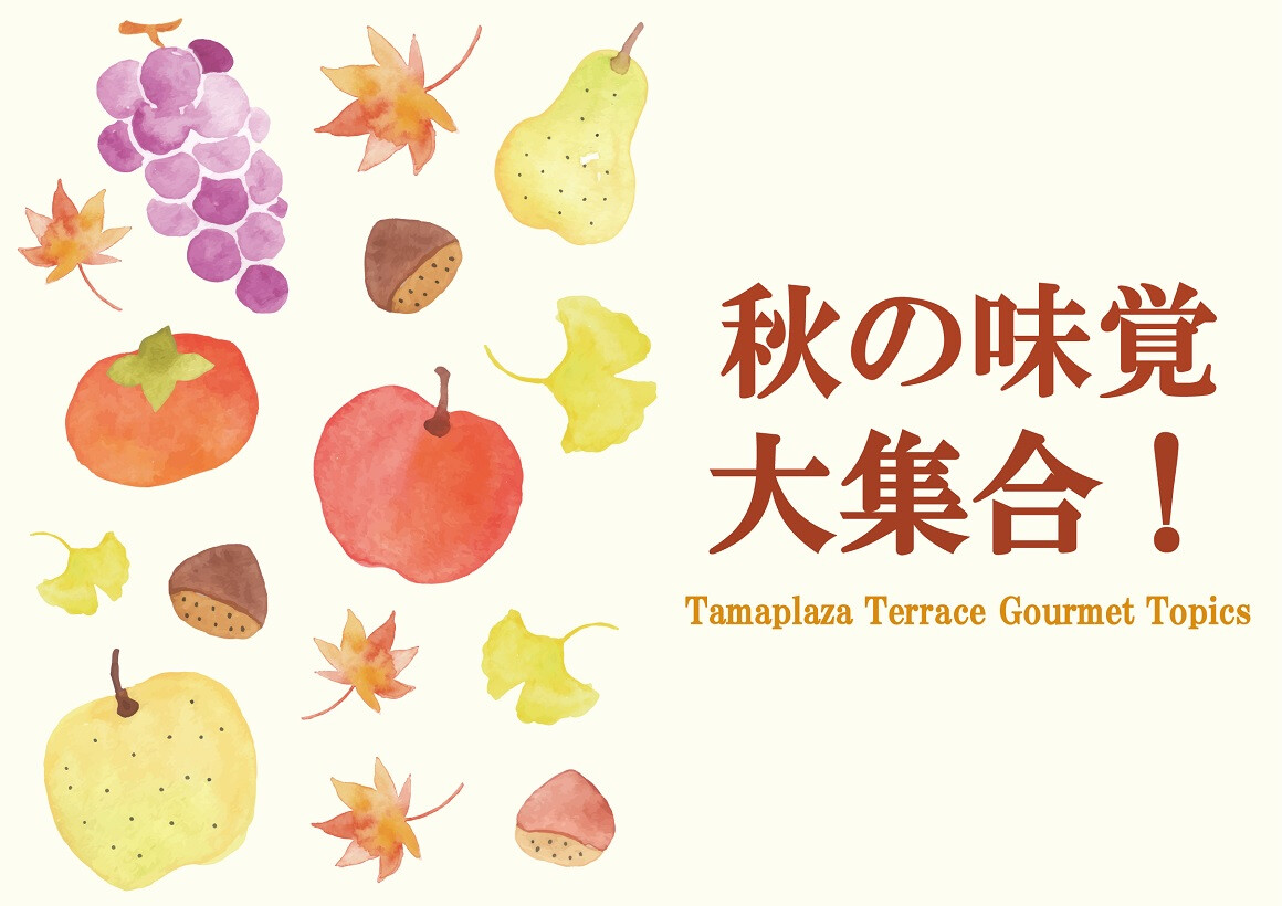 秋の味覚 大集合！特集（9/1～11/30）