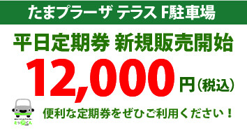 F駐平日定期券