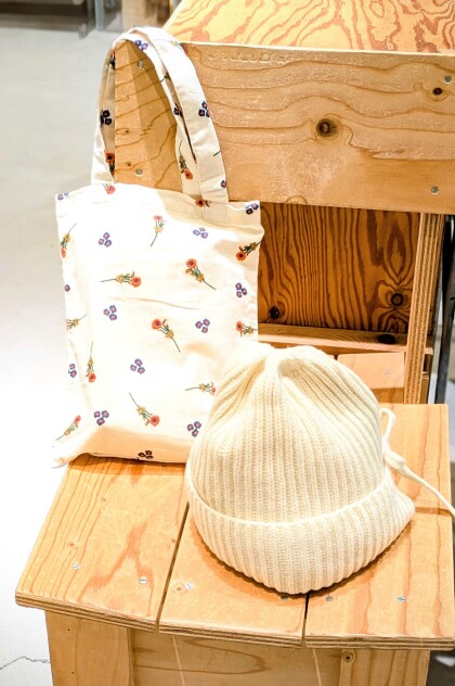 秋の訪れを告げる、可憐なシュウメイギク