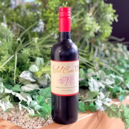 超簡単！！ぽっかぽかホットワイン🍷
