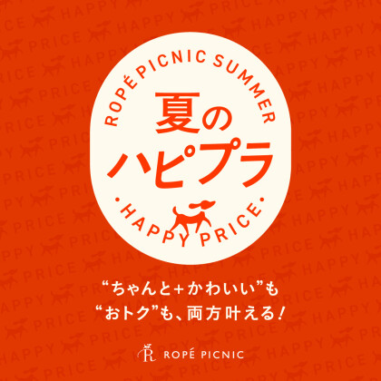 夏のハピプラ | “ちゃんと＋かわいい”も“おトク”も、両方叶える！