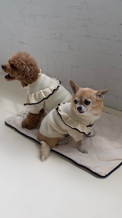 ドッグウェア スペシャルプライスになりました