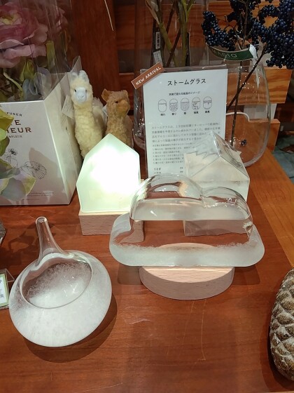 【New】悪天候の癒しアイテム