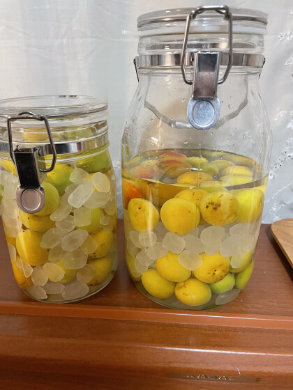 【梅しごと】季節をたのしむ、手しごと日和