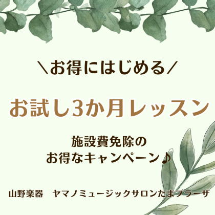 今月のおすすめキャンペーン🪴🍃