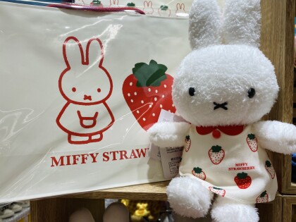 ブルーナフェアぬいぐるみ🍓🐰