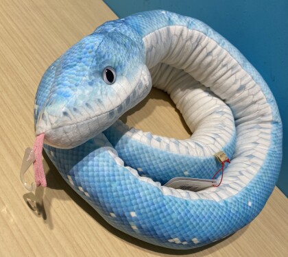 🐍青い蛇🐍
