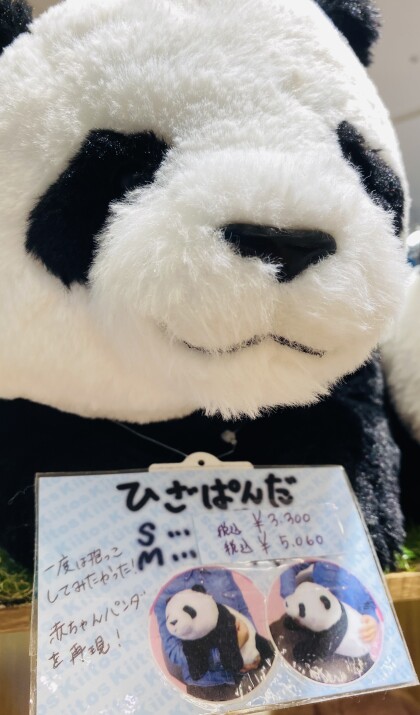 秋の夜長のオトモ🐼