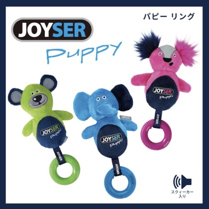 ユニークで可愛いワンちゃん向けおもちゃのご紹介です！