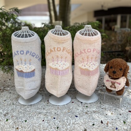 ジェラピケ新商品入荷♪