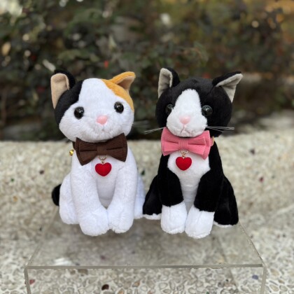 新しい猫首輪はいかがでしょうか？🐈