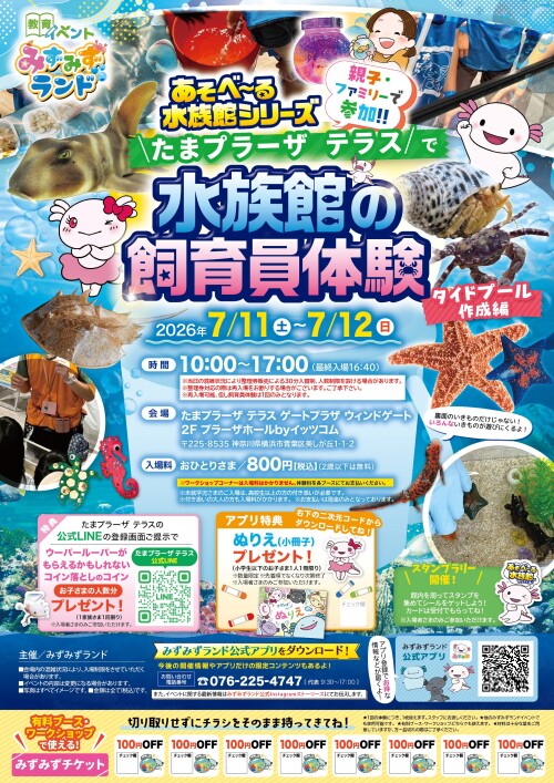 水族館の飼育員体験