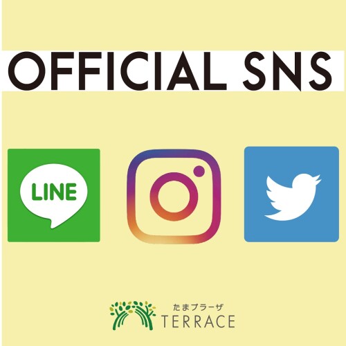 ＼  OFFICIAL SNS ／