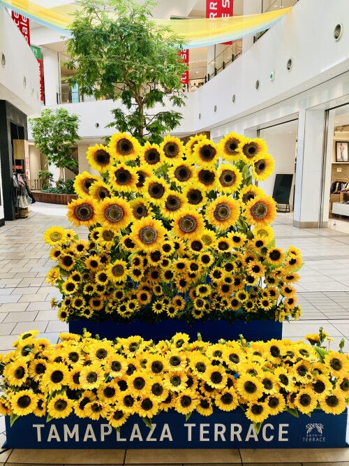 ひまわりテラス