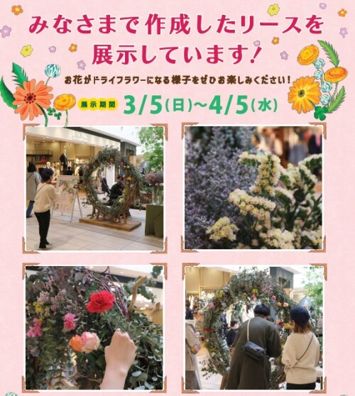 ロスフラワーリース展示／ドライフラワーお渡しイベント