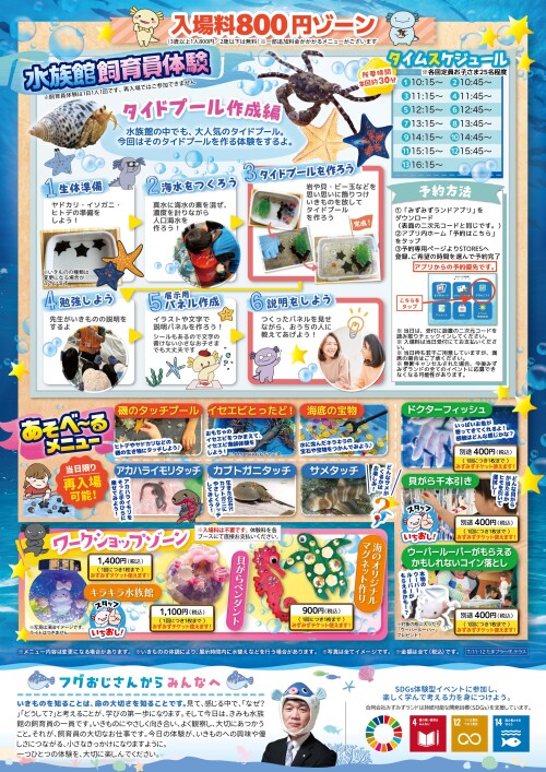 水族館の飼育員体験