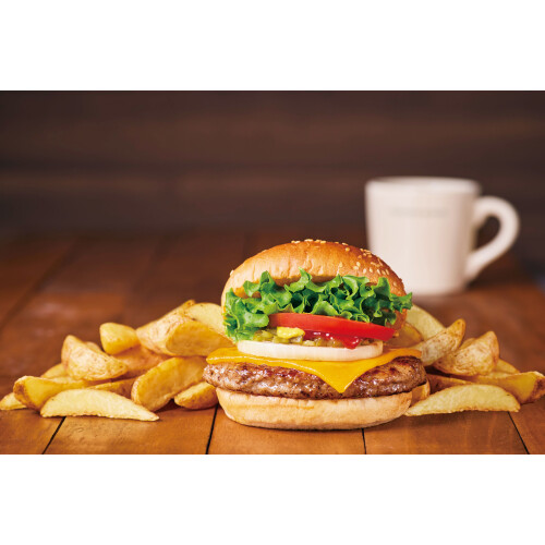 フレッシュネスバーガー