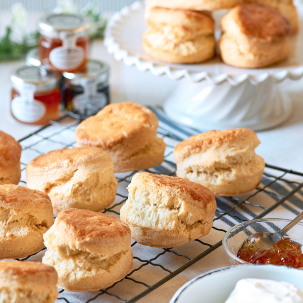 スコーンが新しくなりました！