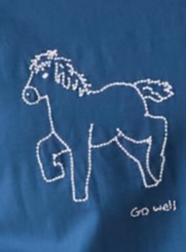 **『Go well"上手くいく』**をお守りに!  毎日に寄り添うポニー刺繍のロンT