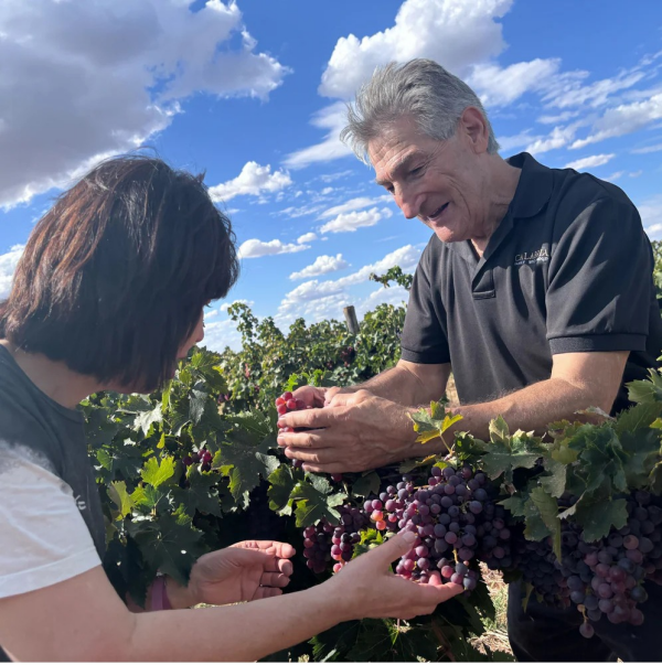 🇦🇺✨ オーストラリアの大人気蔵元がやってくる！特別無料テイスティングイベント開催 🍷🎉