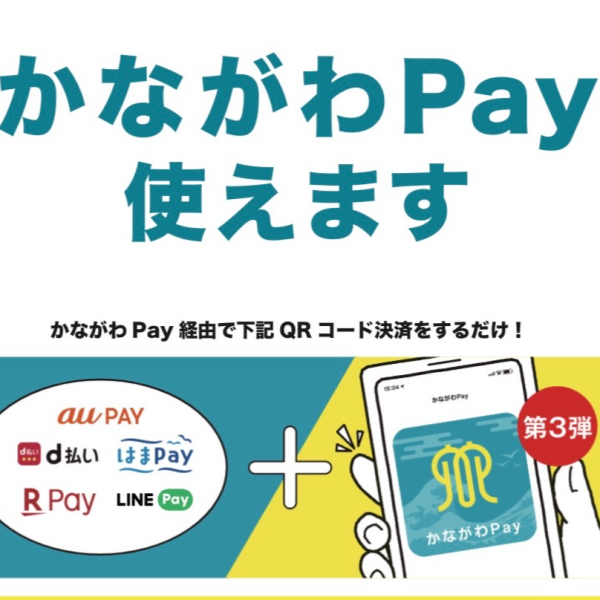 【ポイント付与終了間近！】【かながわPay利用で10%ポイント還元！！】