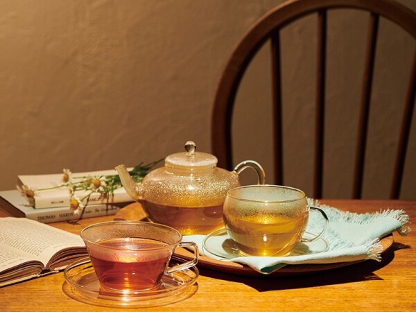 この春からハーブの勉強を新しくはじめませんか？