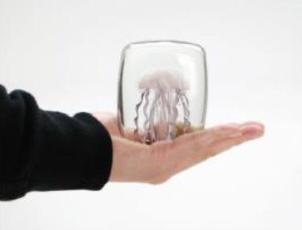 【ギフトにも♪】「なにこれ？！」と一目置かれるオブジェ　JELLYFISH