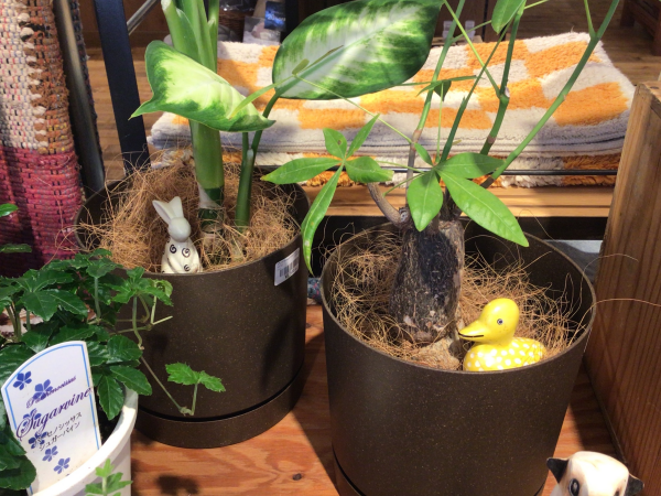 【大人気オブジェ】ソープストーン入荷★