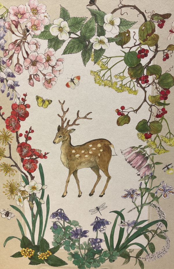 花ふきん 30周年