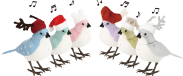 【毎年大人気】クリスマス限定ミュージックバード入荷❣