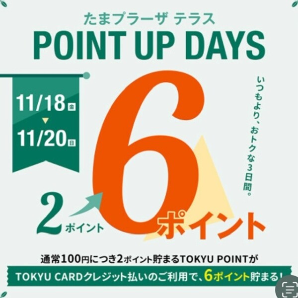 11月18日～20日の3日間「POINTUPDAYS」東急ポイント3倍✨おすすめ商品✨