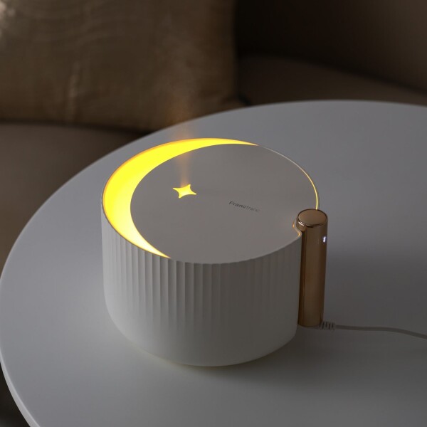 2025年加湿器ランキング✨