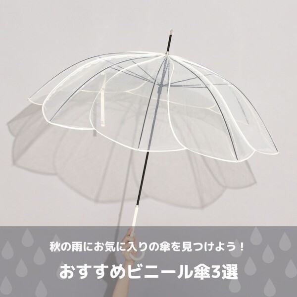 秋の雨にお気に入りの傘をみつけよう🌈☔