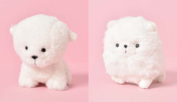 わたぽ　ふわふわな犬たち！