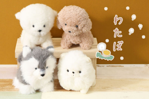わたぽ　ふわふわな犬たち！