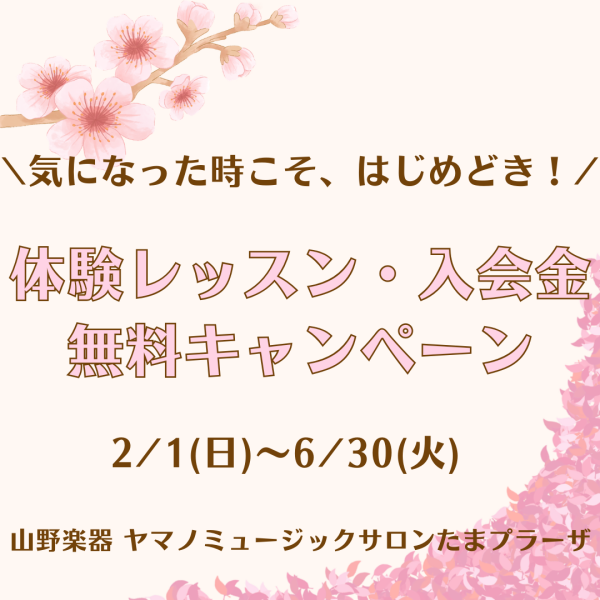 新しい趣味をはじめてみませんか🌸